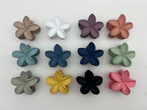Broches por Docena | Avellaneda a un Toque