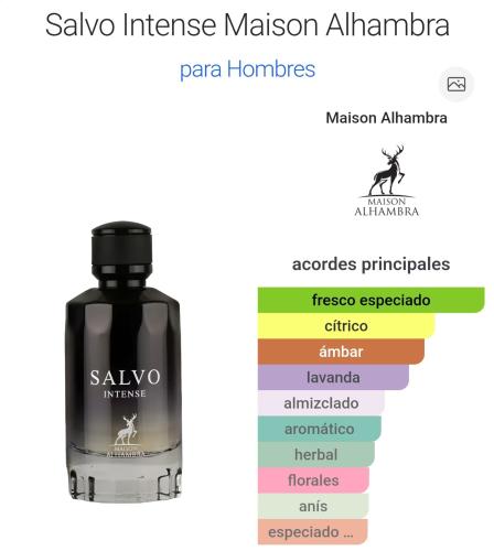 Salvo Intense 100ml