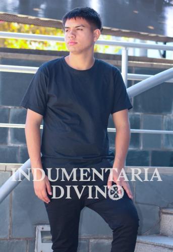 Remera Basica
