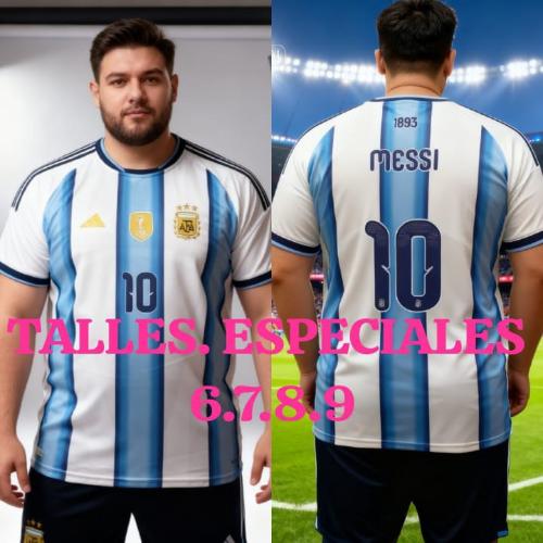Camiseta. Argentina ( Talles. Esoeciales ) Logo. Bordado