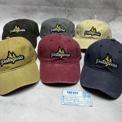 G Vintage Bordada Patagonia