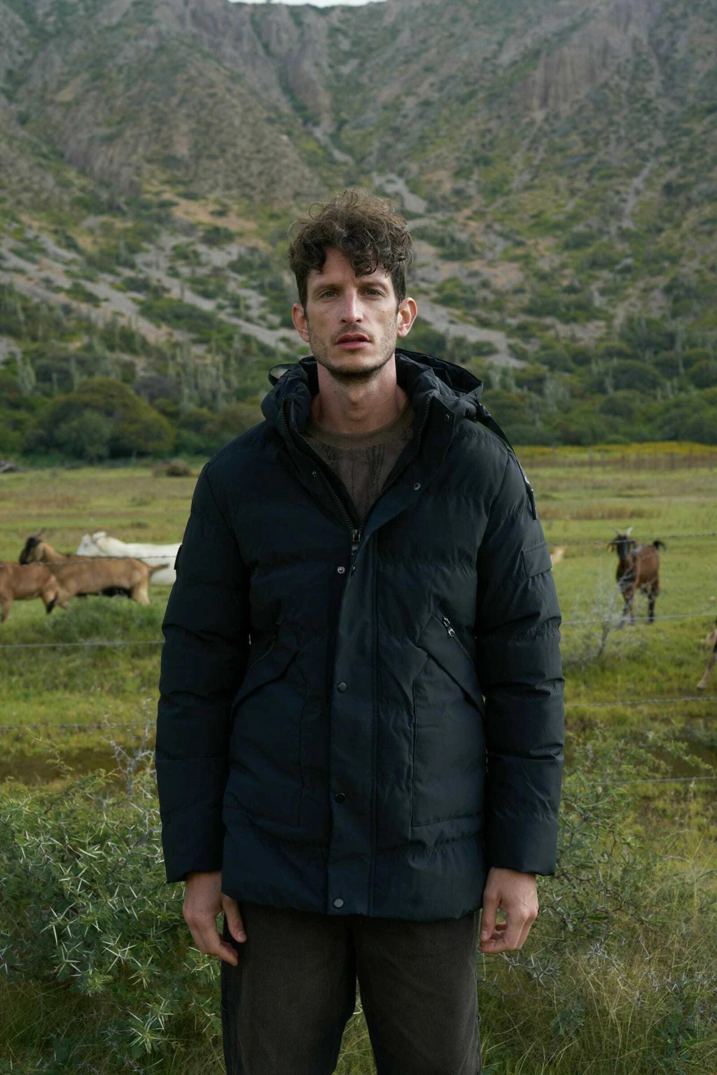 Campera Polo Neo - Imagen 2