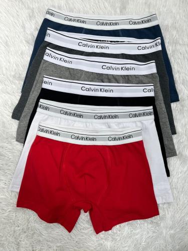 Boxer Kalvin