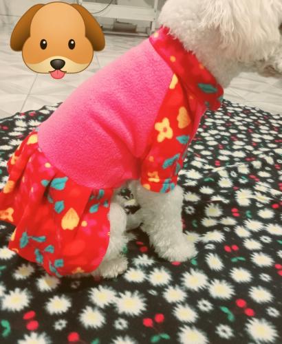 Ropa Mascota Vestido Fantasia - Miniatura 3