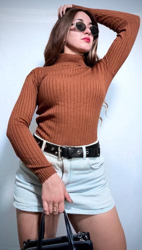 Polera de Bremer