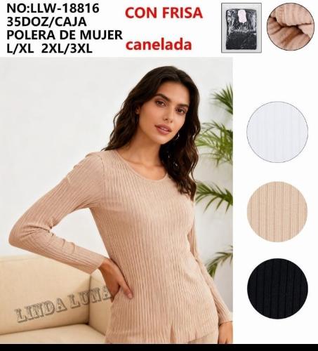 Camiseta 18816