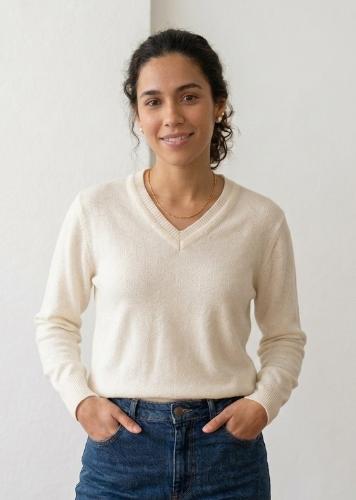Sweater Bremer "v"