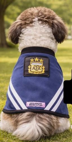 Buzo Polar Argentina para Mascotas (ver Tabla de Talles y Precios) - Miniatura 2