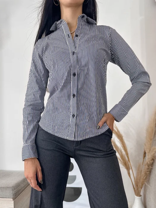 Camisas de Poplin