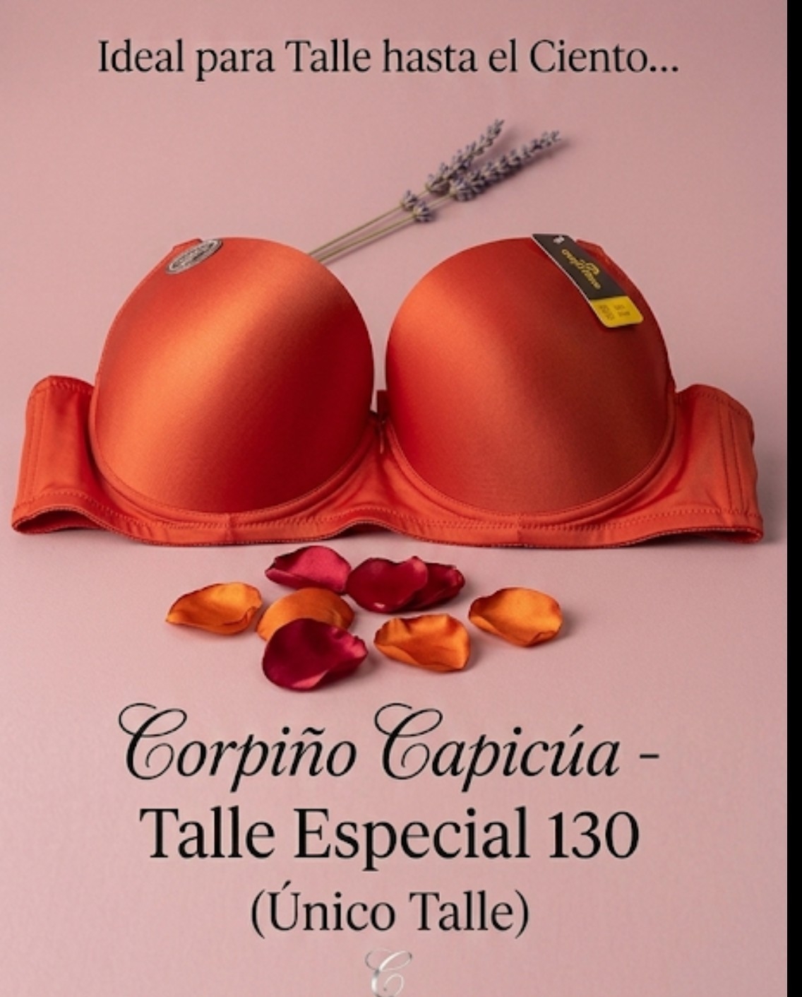 Corpiño Especial Capicua Importado - Imagen 4