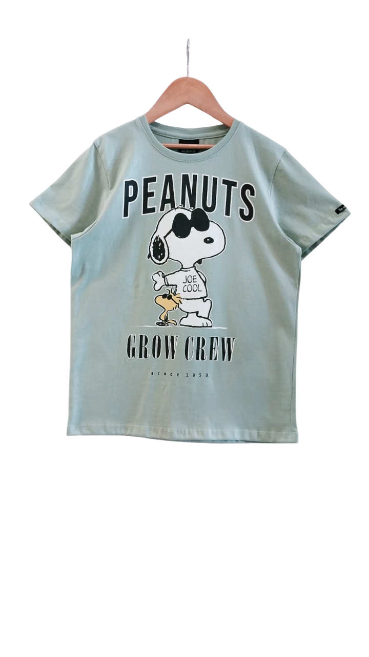 Remera Snoopy - WhatsApp%20Image%202026-03-25%20at%2015.59.01-Photoroom.png