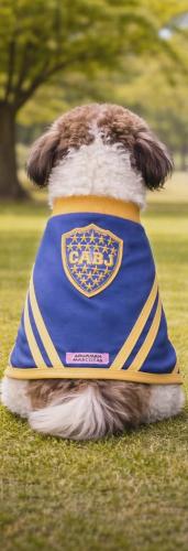 Buzo Polar Boca Juniors para Mascotas (ver Tabla de Talles y Precios) - Miniatura 2