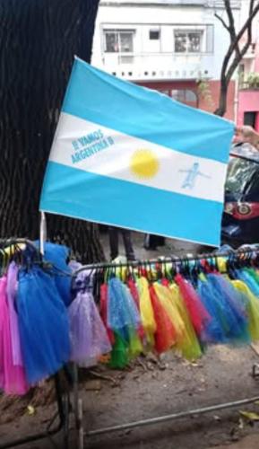 Banderas Argentina Plastico