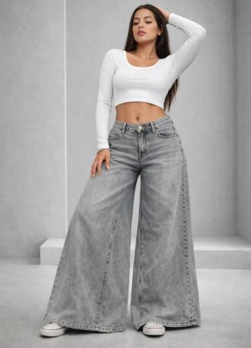 Jeans Tiro Medio Maxi Palazo Denis Real Gris Localizado - Miniatura 2