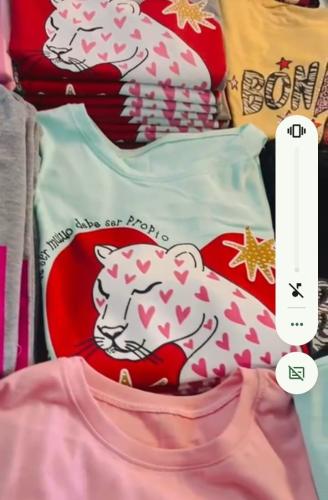 Remeras con Piedritas
