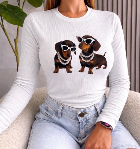 Camisetas