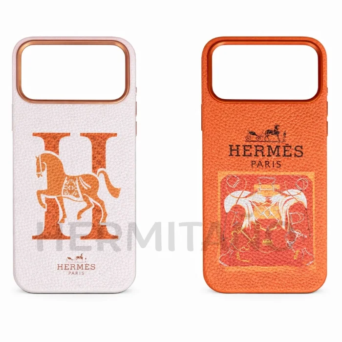 Case Hermes
