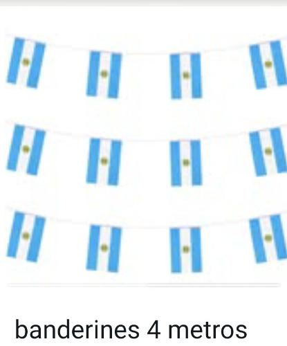 Bandera Argentina