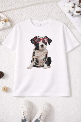 Remera Boston
