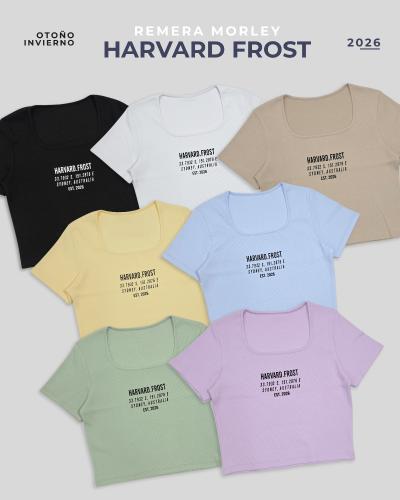 Remera Escote Harvard #84