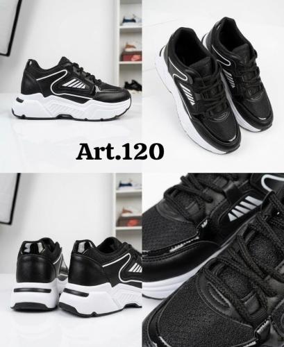 Articulo 120