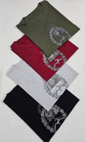Remera Argentina Especiales - Miniatura 5