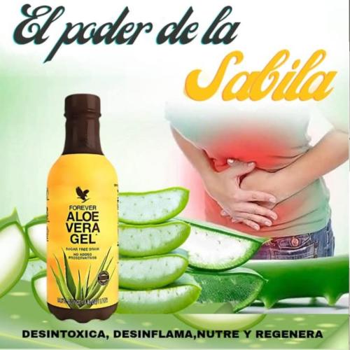 Jugo de Aloe Vera 100% Natural - Miniatura 2