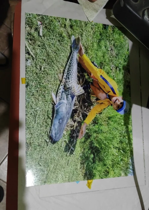 Cuadro de Chapa