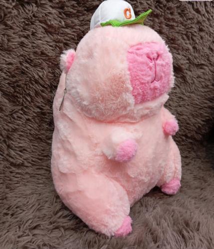 Peluches con Manta - Miniatura 2