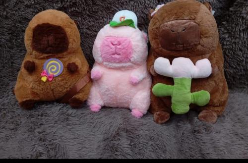 Peluches con Manta - Miniatura 3