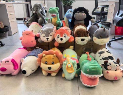 Peluches con Manta - Miniatura 6