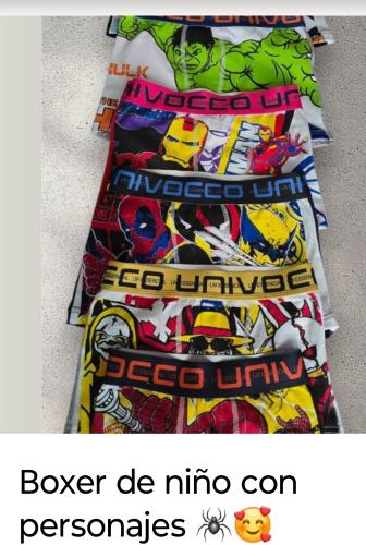 Boxer Niño Disney
