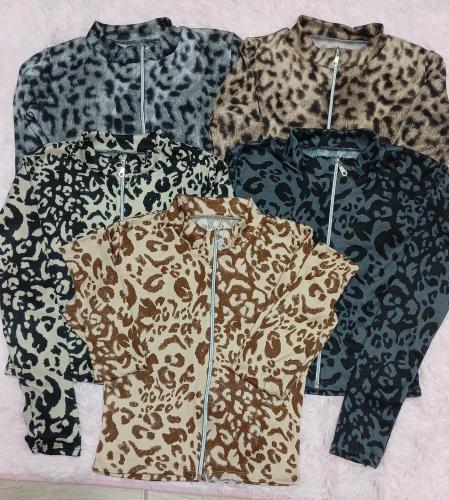 Campera Morley Prin - Miniatura 3