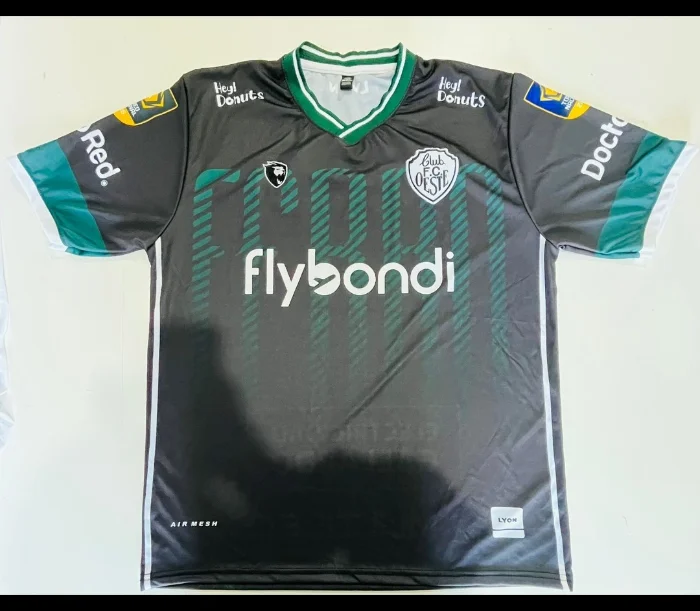 Ferro Alternativa