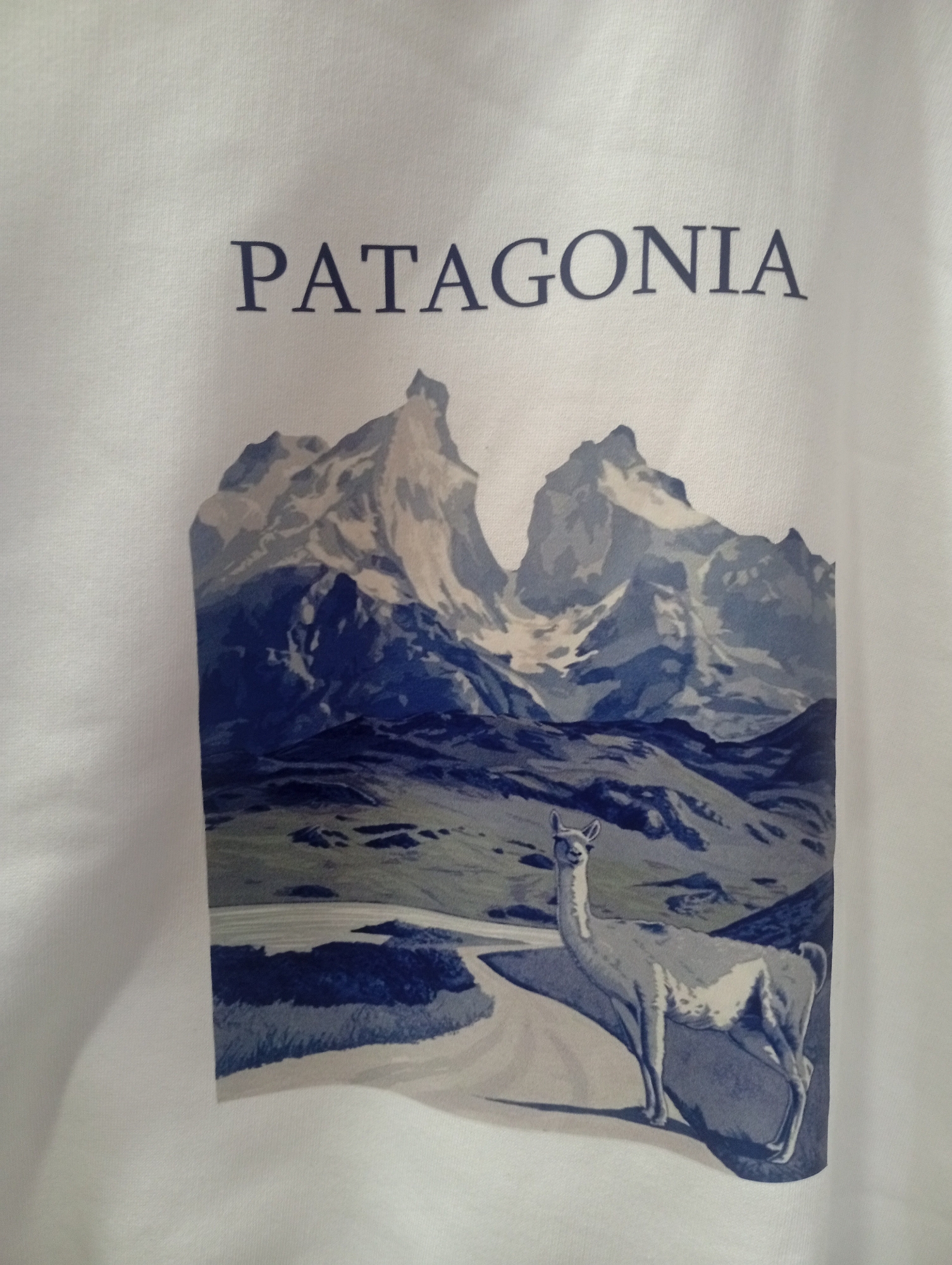 Buzo Patagonia Friza Premium - Imagen 3