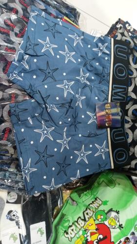 Boxer. Adulto