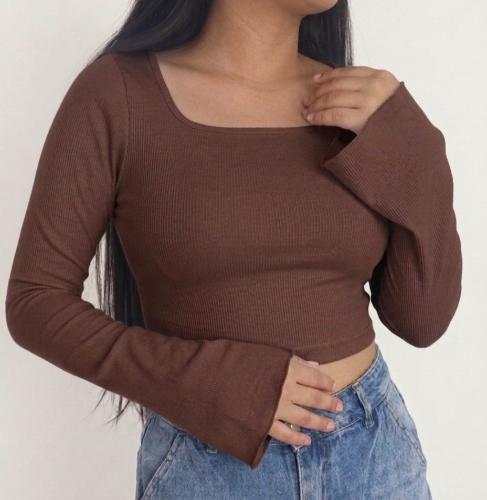 Camiseta Crop