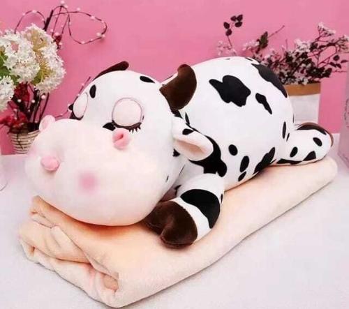 Peluche con Manta de Plush - Miniatura 2
