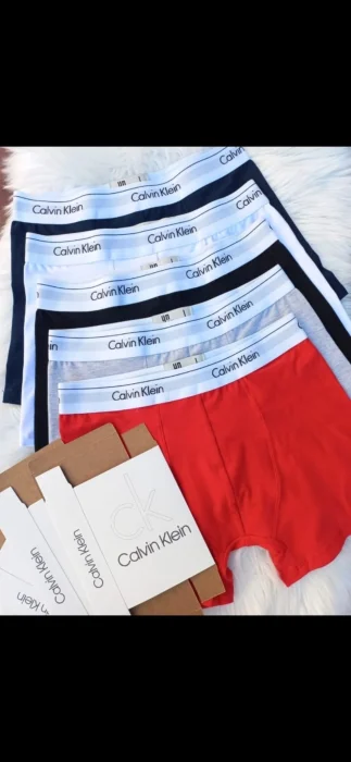 Boxer Calvin con Caja