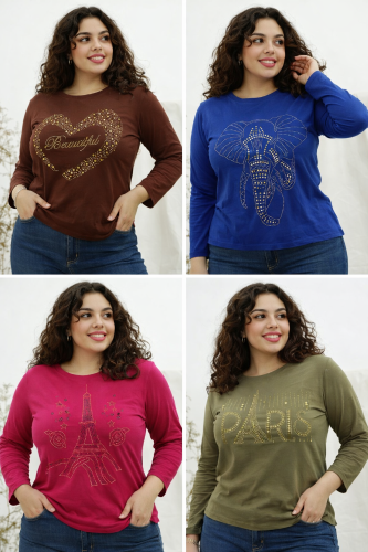 Remera Manga Larga