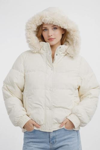 Puffer Feidan