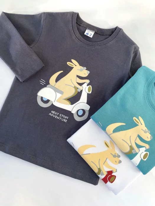 Camisetas Algodon Peinado