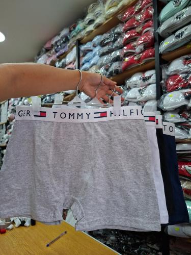 Boxer Tommy X Docena