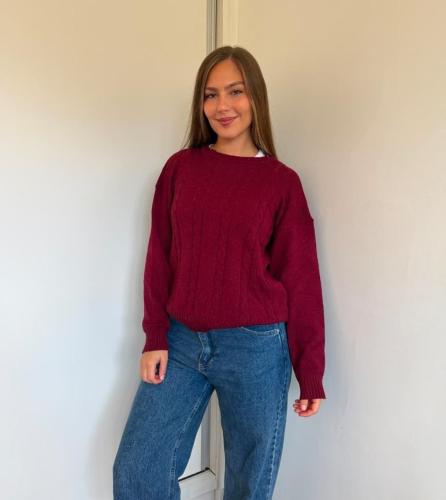 Sweater Doble Bremmer