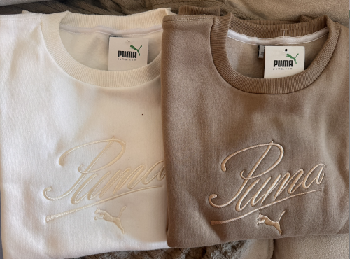 Buzo Puma