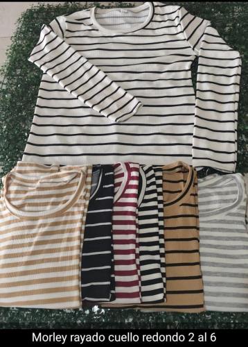 Camiseta Morley Rayas 2 al 6