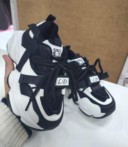 Zapas Ld 31 al 36