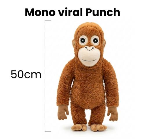 Mono Viral Punch