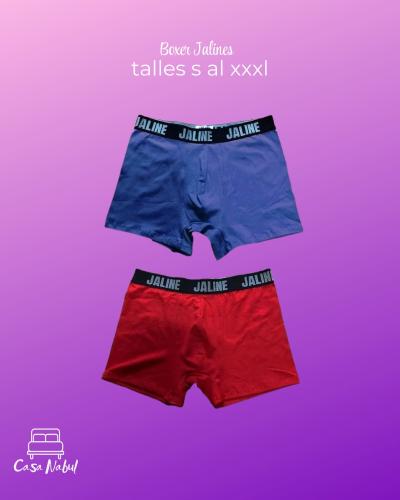 Boxer Alg y Lyc Jaline