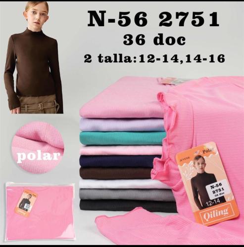 Camiseta Juvenil Polar Térmico Importado